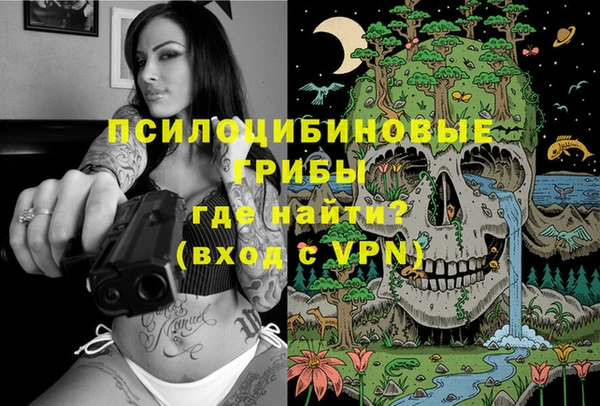 прущие грибы Лихославль
