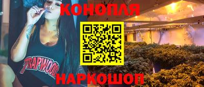 молекула духа Камышлов