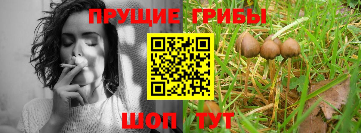 цены   Галлюциногенные грибы ЛСД  Вход с VPN  Строитель 